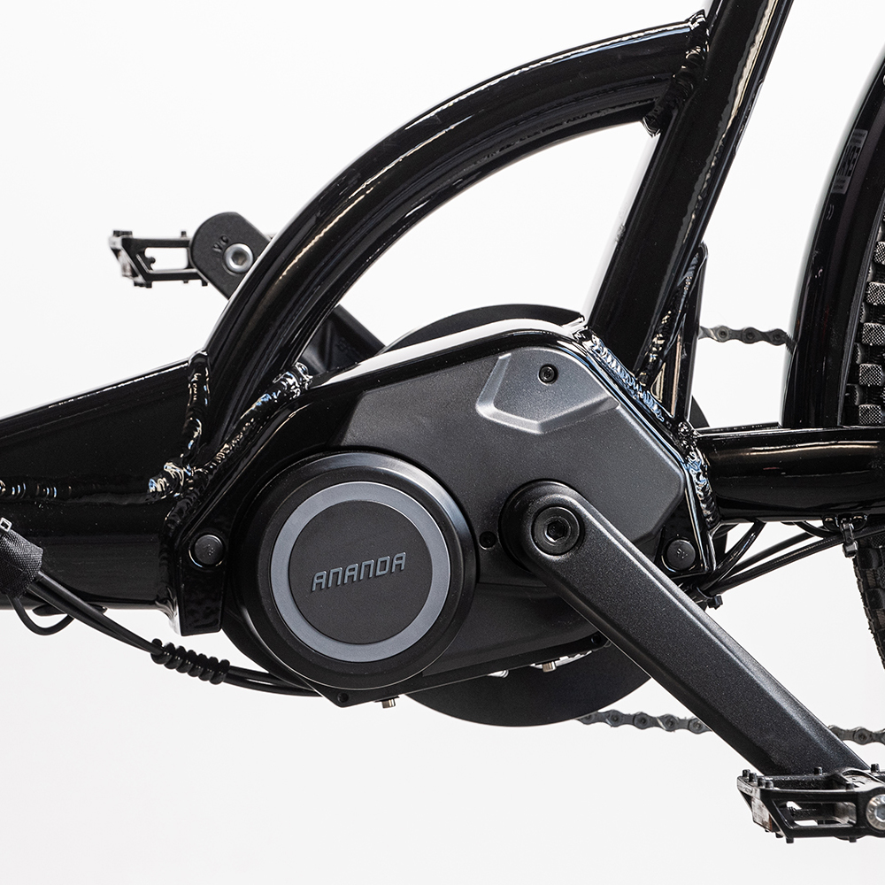 Elektriline kastiratas CARGOBIKE Delight