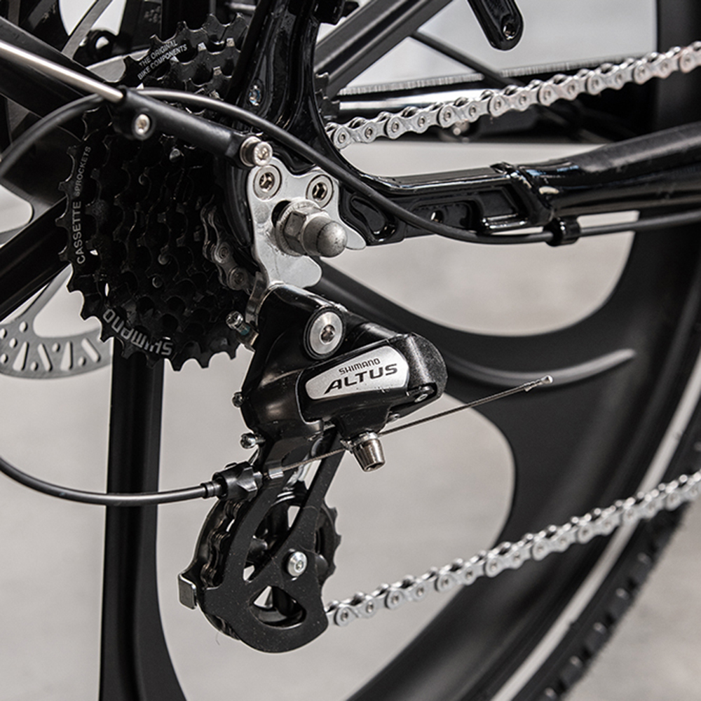 Elektriline kastiratas CARGOBIKE Delight