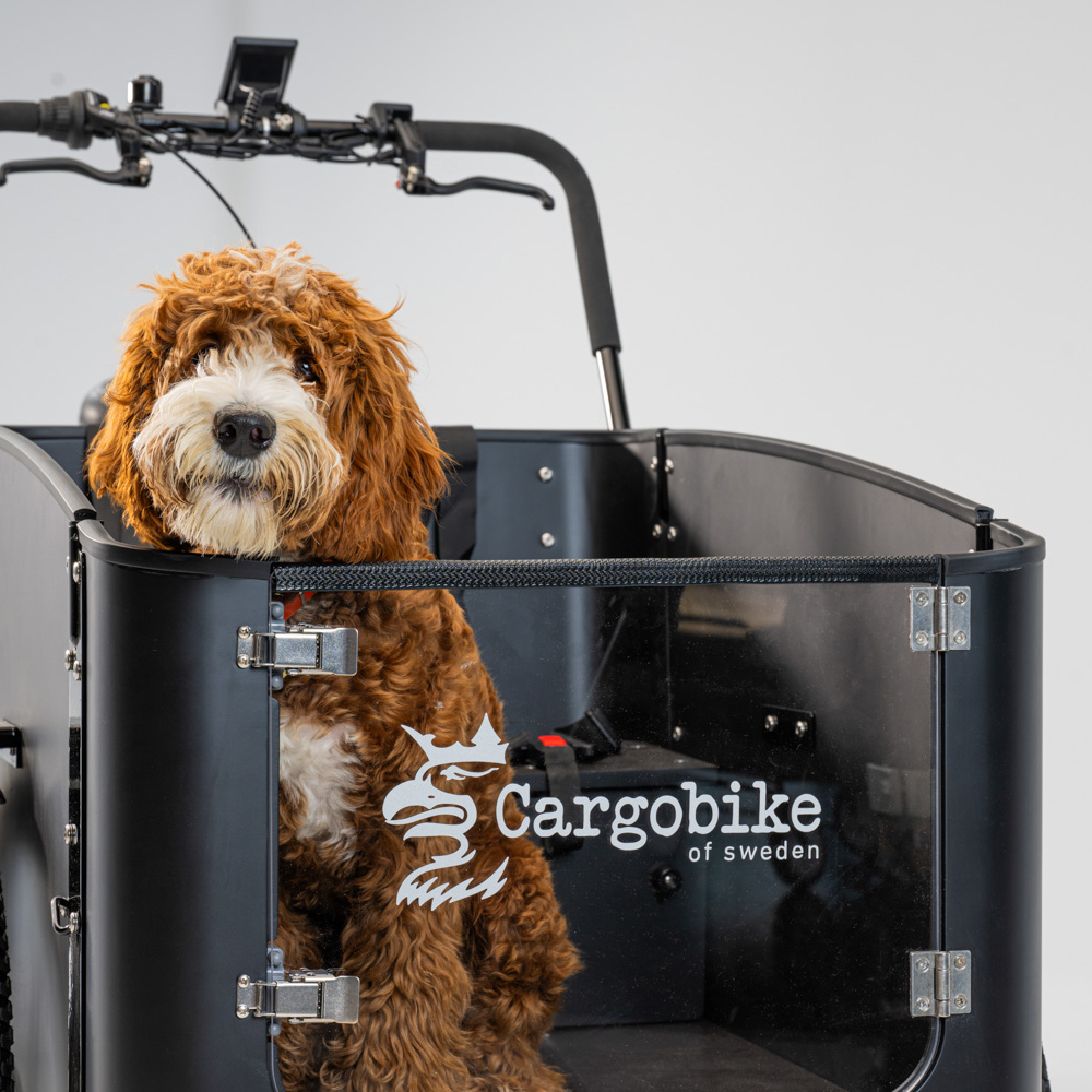 Elektriline kastiratas CARGOBIKE of SWEDEN Flex Dog
