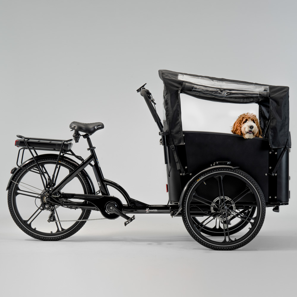 Elektriline kastiratas CARGOBIKE of SWEDEN Flex Dog