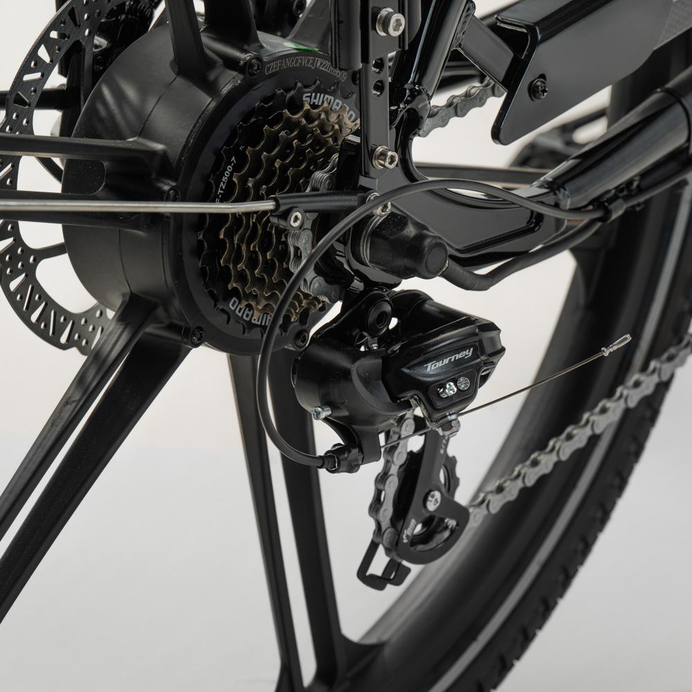 Elektriline kastiratas CARGOBIKE of SWEDEN Flex Dog