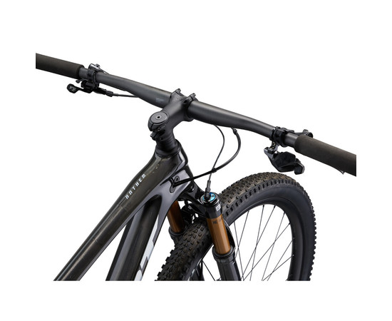 Maastikuratas GIANT Anthem Advanced Pro 29 0, Raw Carbon (L)