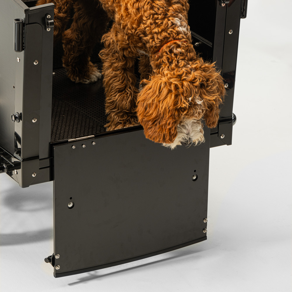 Elektriline kastiratas CARGOBIKE of SWEDEN Classic Dog