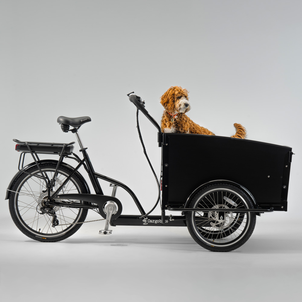 Elektriline kastiratas CARGOBIKE of SWEDEN Classic Dog