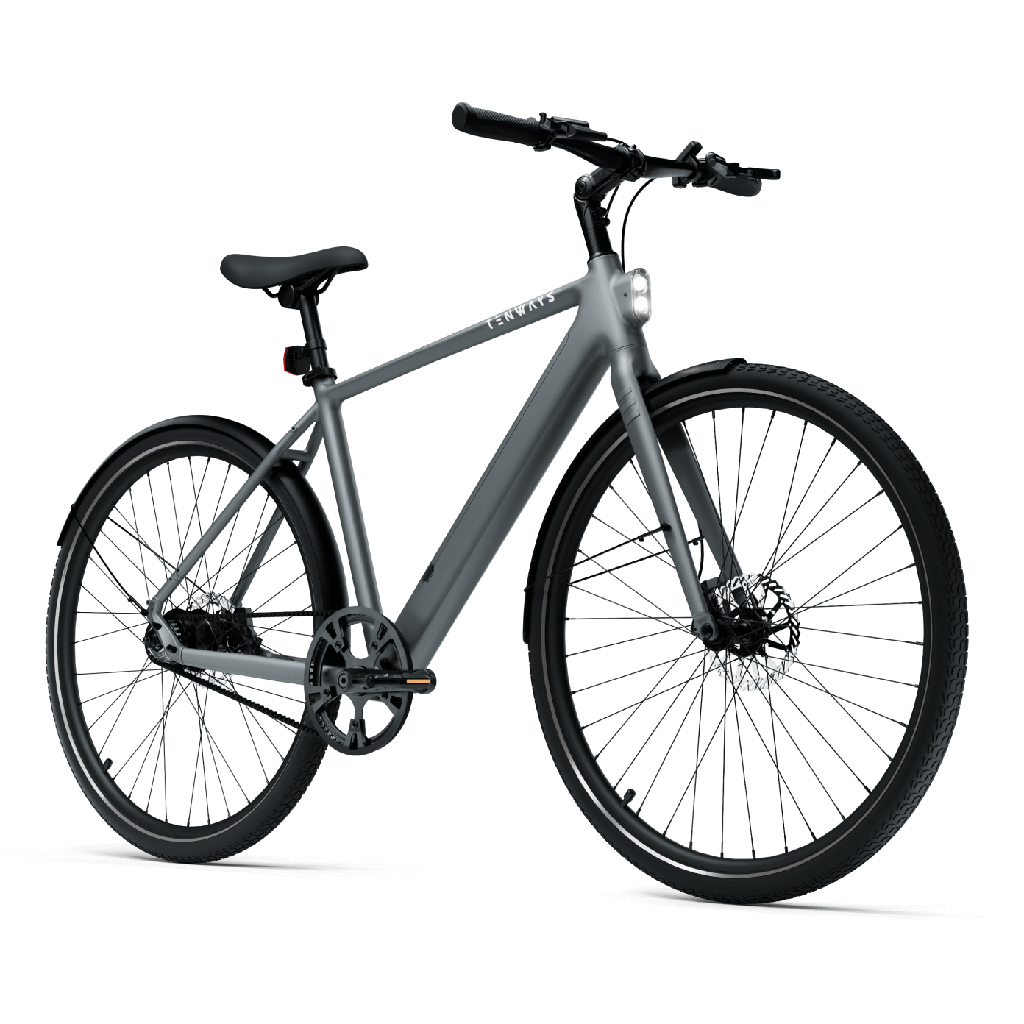 Elektrijalgratas TENWAYS CGO600 PRO, Light Grey (L)