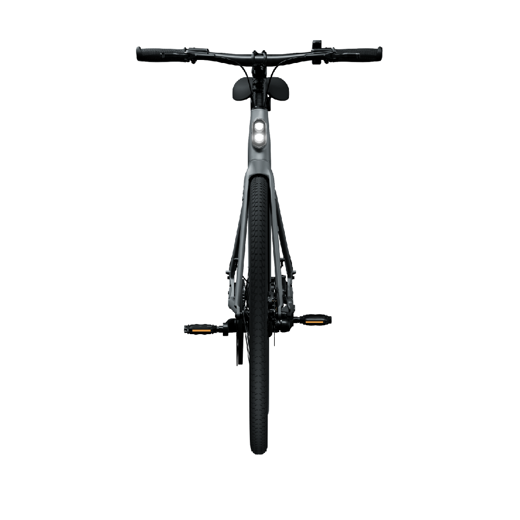 Elektrijalgratas TENWAYS CGO600 PRO, Light Grey (L)