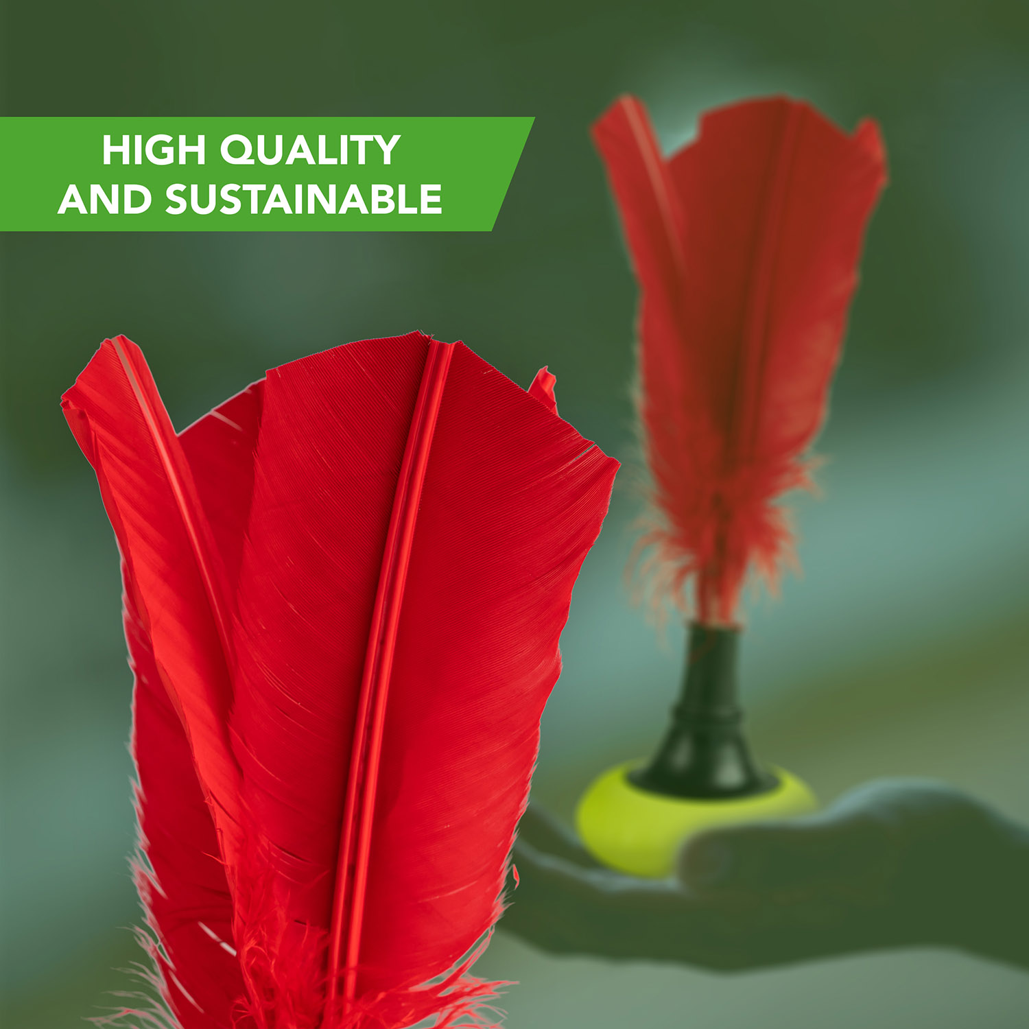 Pall TUNTURI Indiaka Tournament