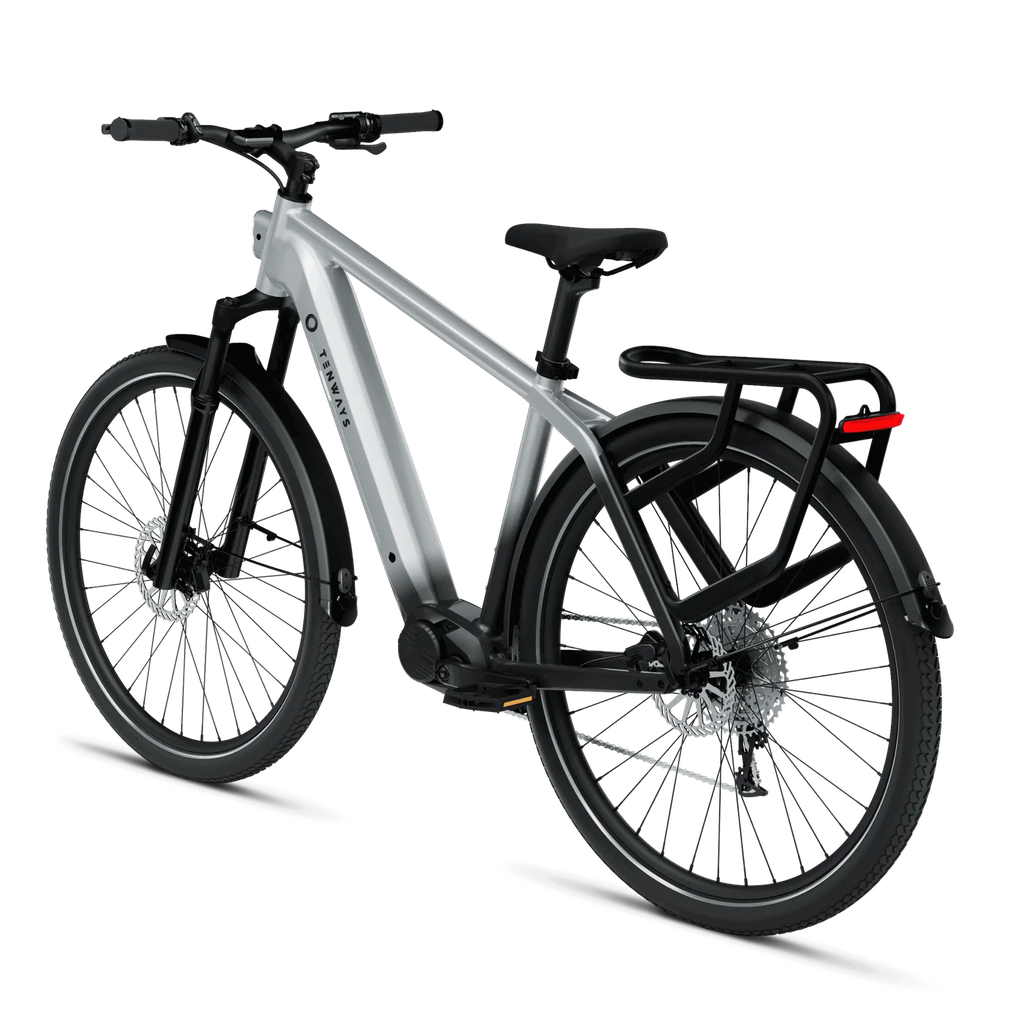 Elektrijalgratas TENWAYS AGO X, 29″ Gradient Silver (L)