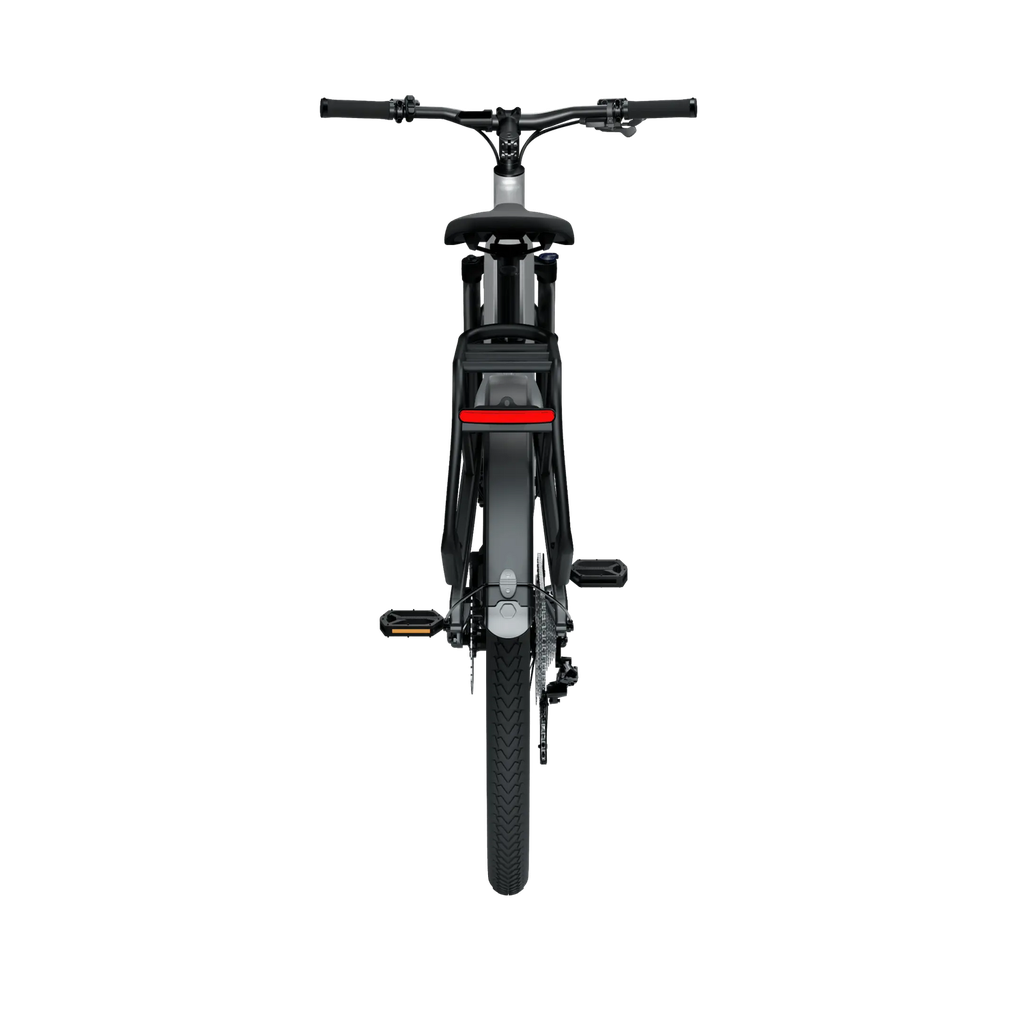 Elektrijalgratas TENWAYS AGO X, 29″ Gradient Silver (L)