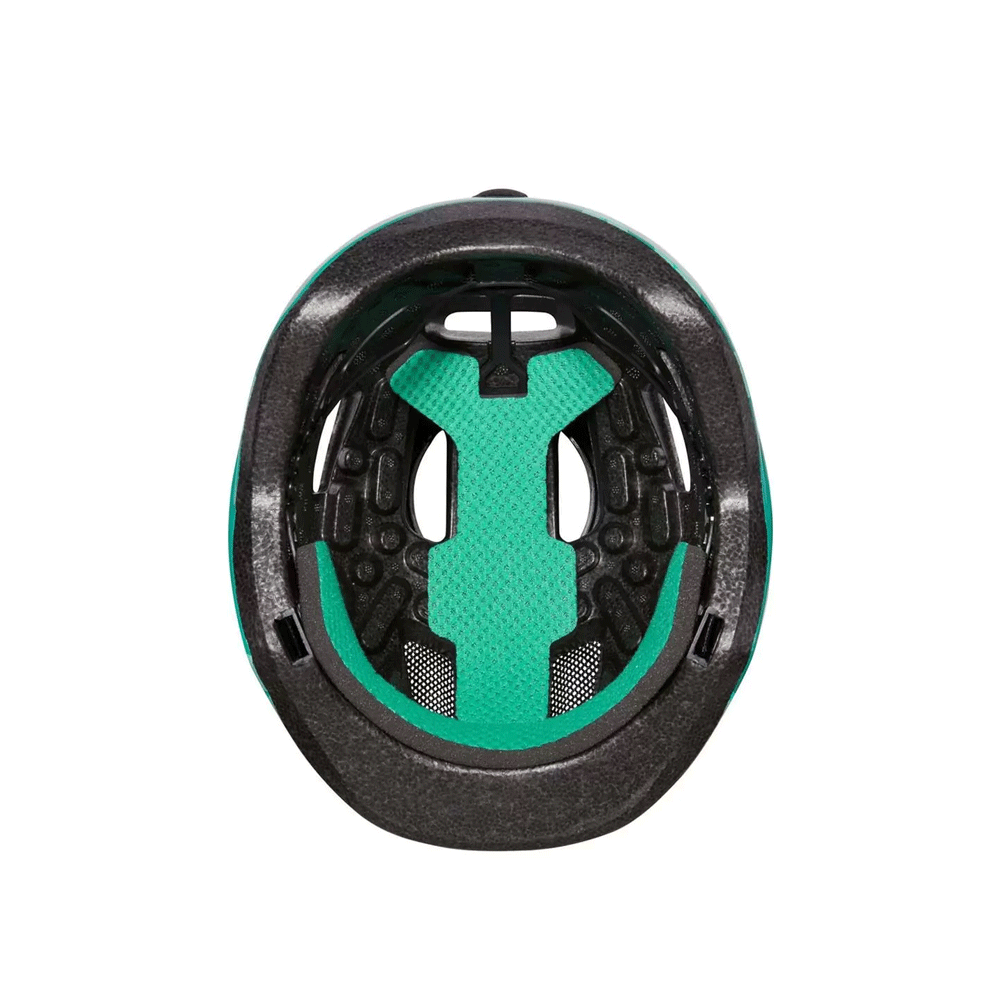 Lastekiiver LAZER Nutz KC, Dragons