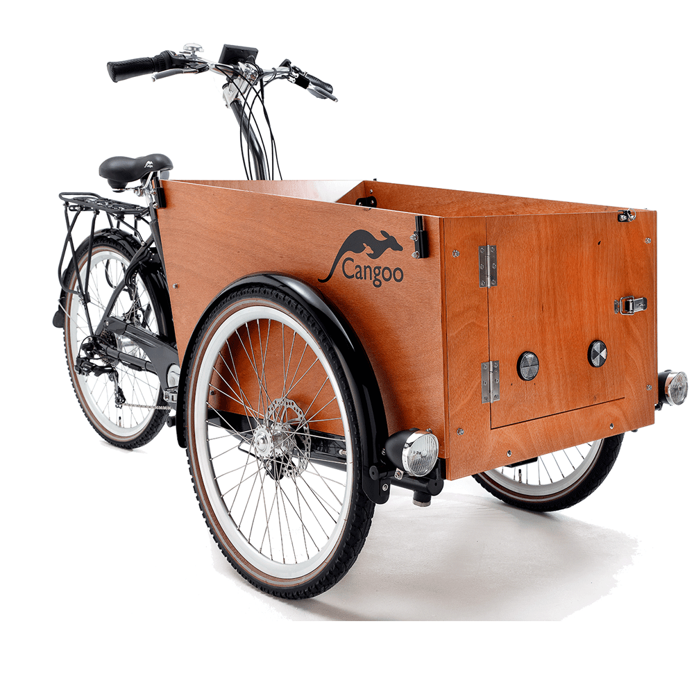 Elektriline kastiratas Cangoo Easy, roheline