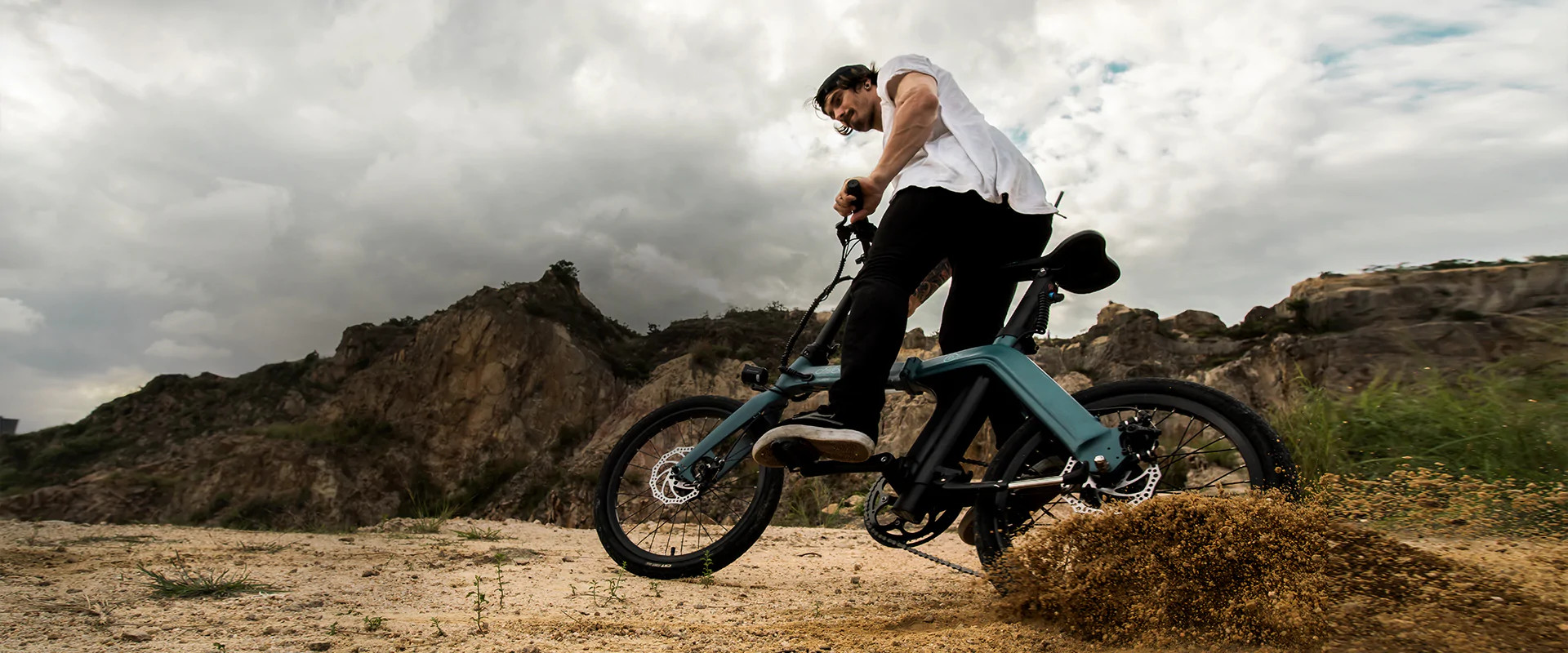 Elektrijalgratas Fiido D11 (36 V / 11,6 Ah), kokkupandav