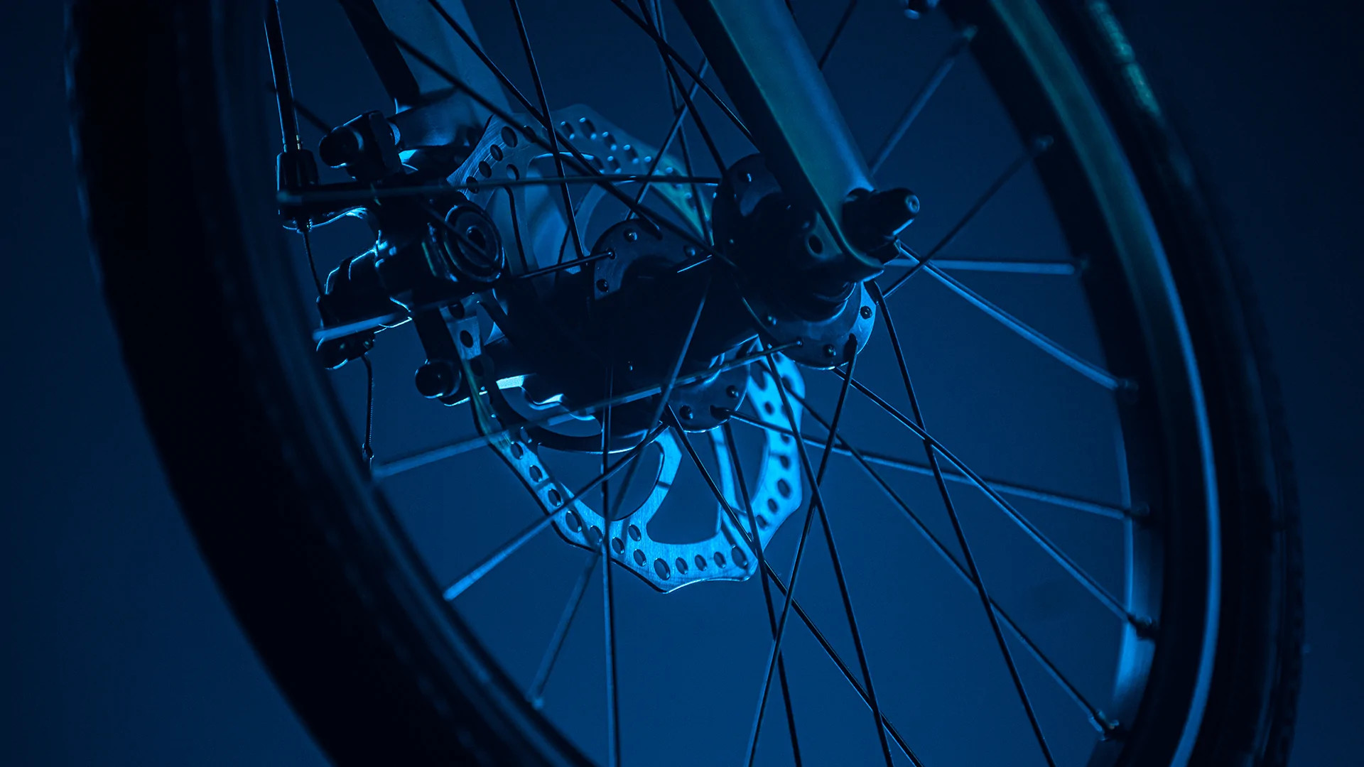 Elektrijalgratas Fiido D11 (36 V / 11,6 Ah), kokkupandav