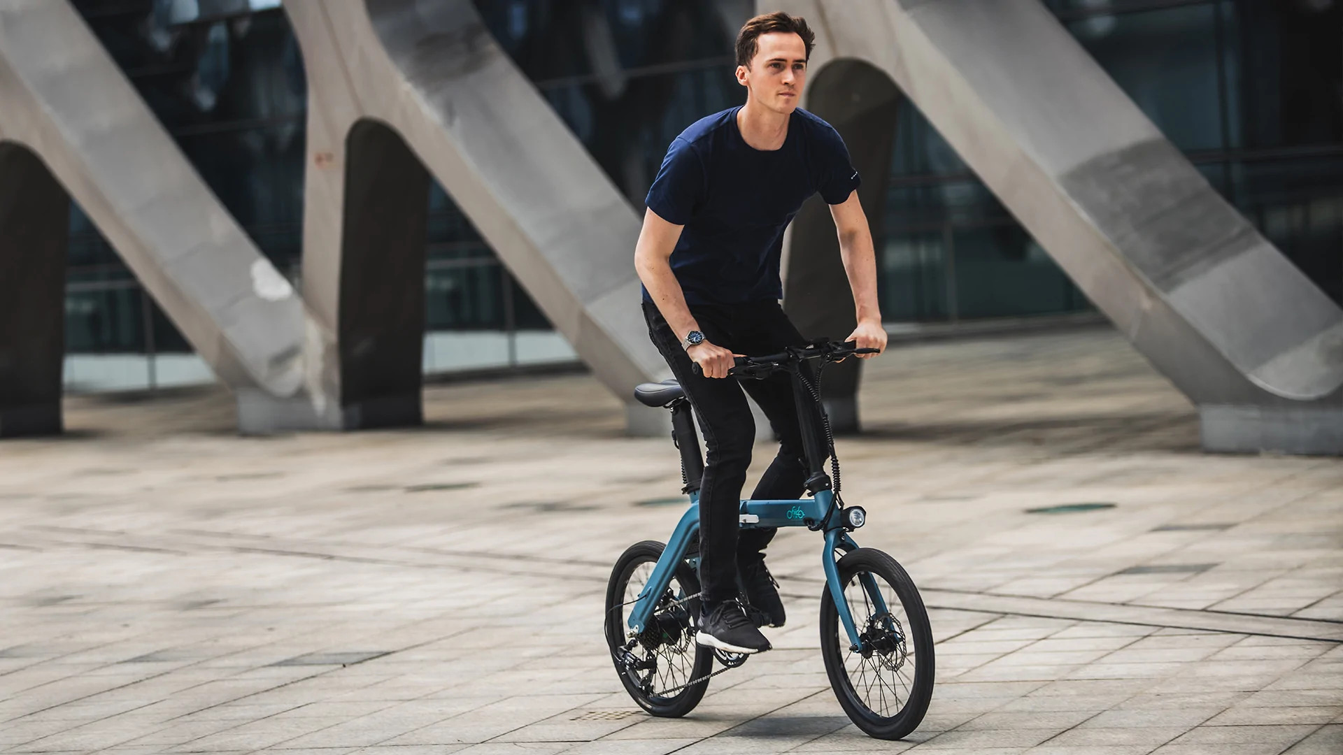 Elektrijalgratas Fiido D11 (36 V / 11,6 Ah), kokkupandav