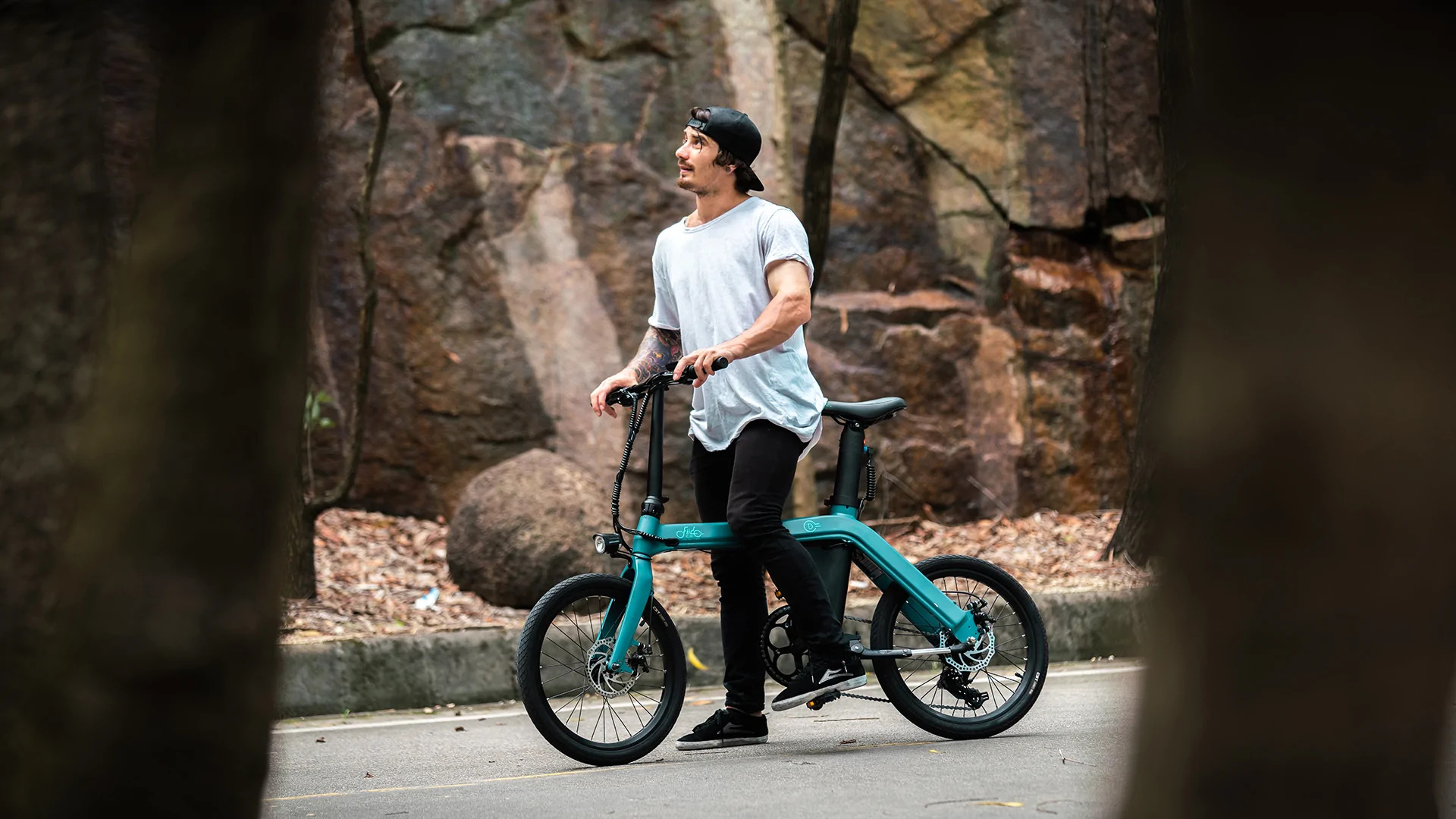 Elektrijalgratas Fiido D11 (36 V / 11,6 Ah), kokkupandav