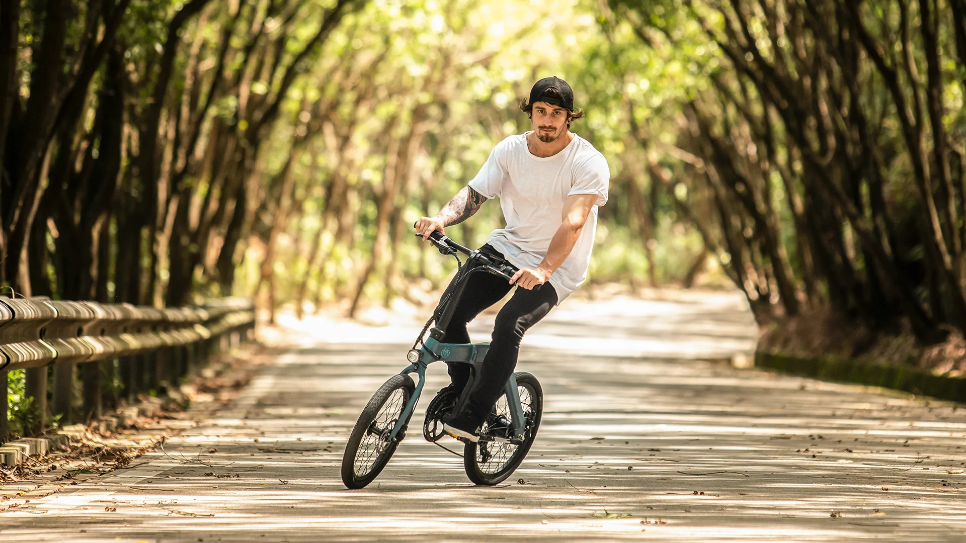 Elektrijalgratas Fiido D11 (36 V / 11,6 Ah), kokkupandav