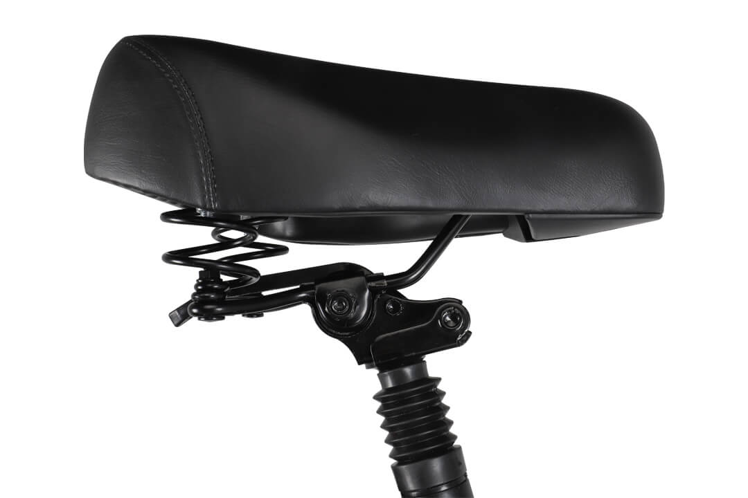 Elektrijalgratas Fiido T1 PRO (48 V / 20 Ah)