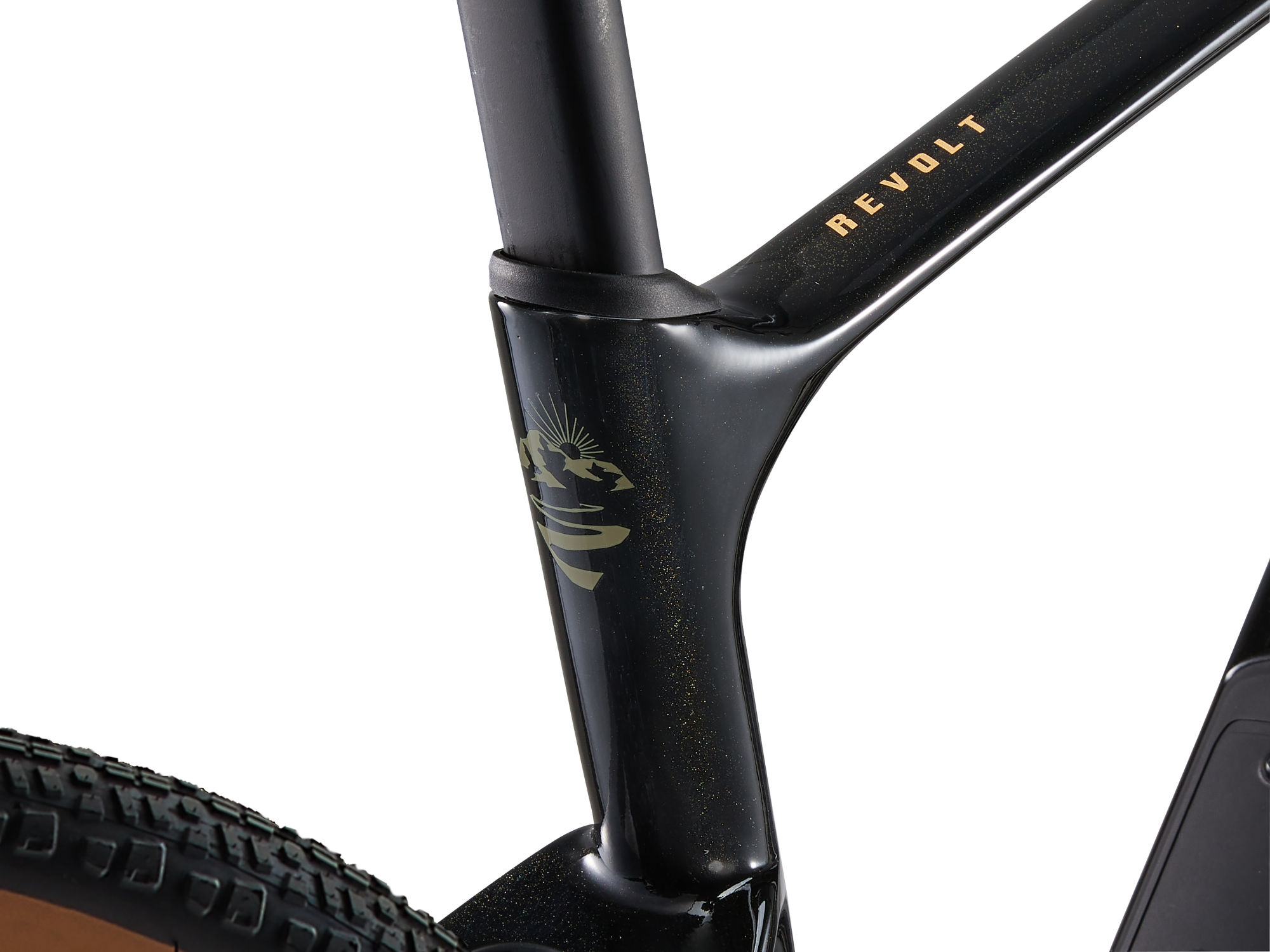 Gravel jalgratas GIANT Revolt Advanced 3 (2025) Panther (L)