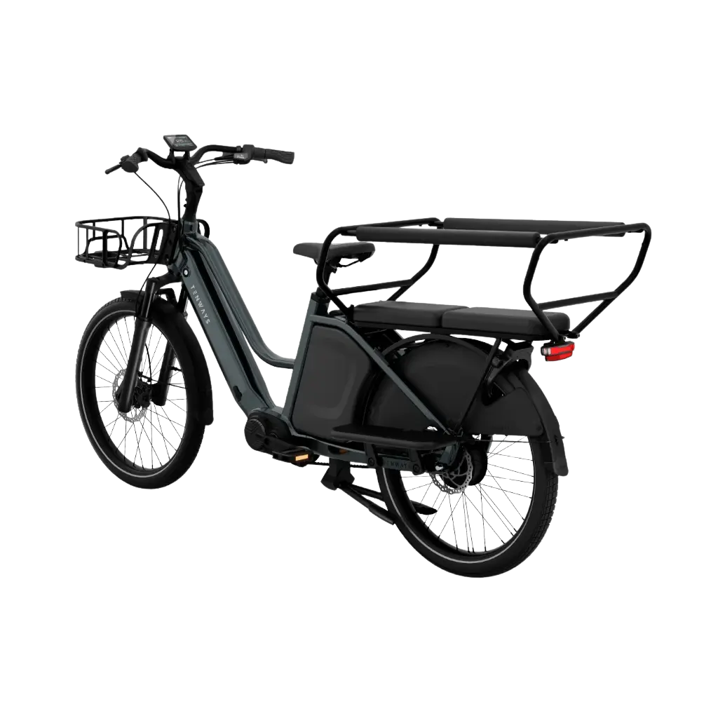 Elektriline kargoratas TENWAYS Longtail DUO