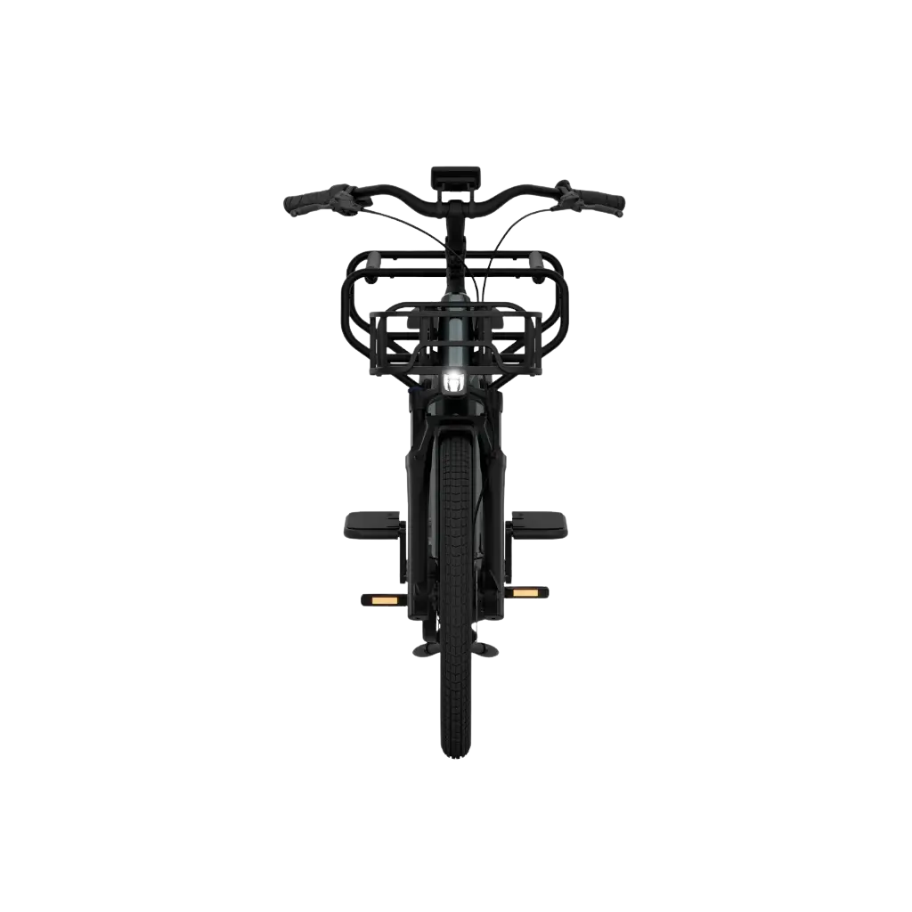 Elektriline kargoratas TENWAYS Longtail DUO