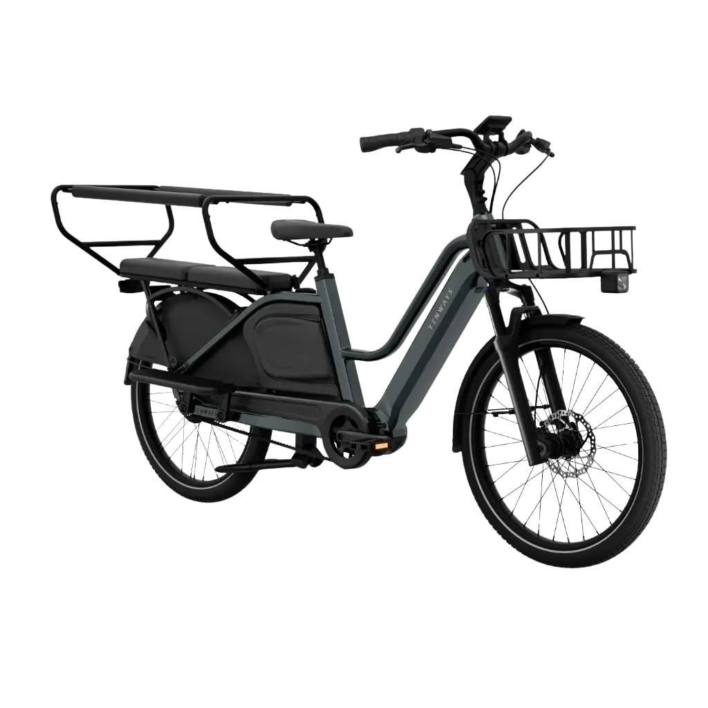 Elektriline kargoratas TENWAYS Longtail DUO