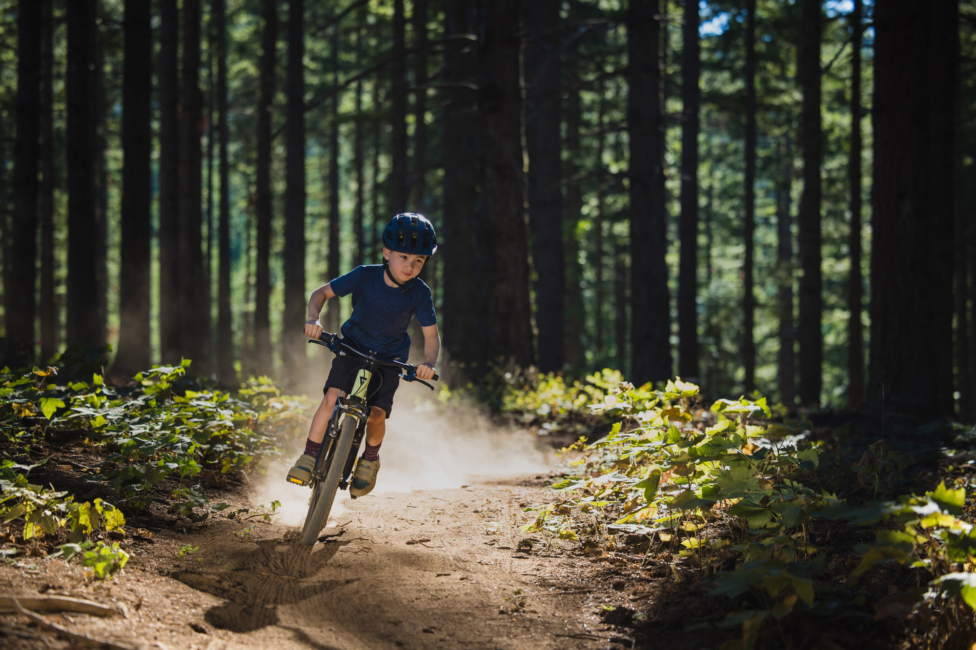 Laste jalgratas GIANT Talon 20, Muscat Blanc