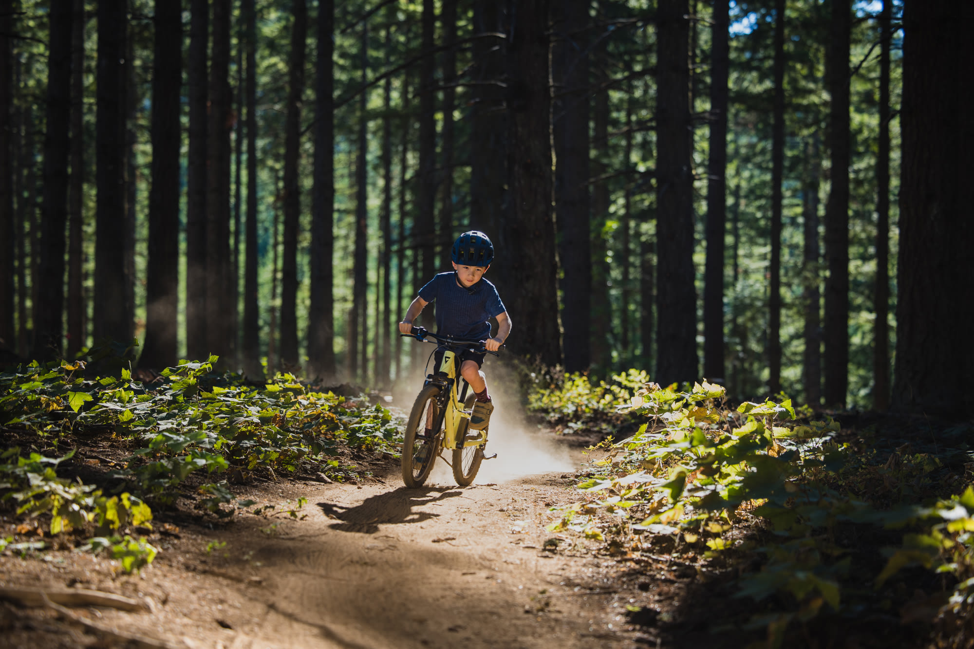 Laste jalgratas GIANT Talon 20, Muscat Blanc