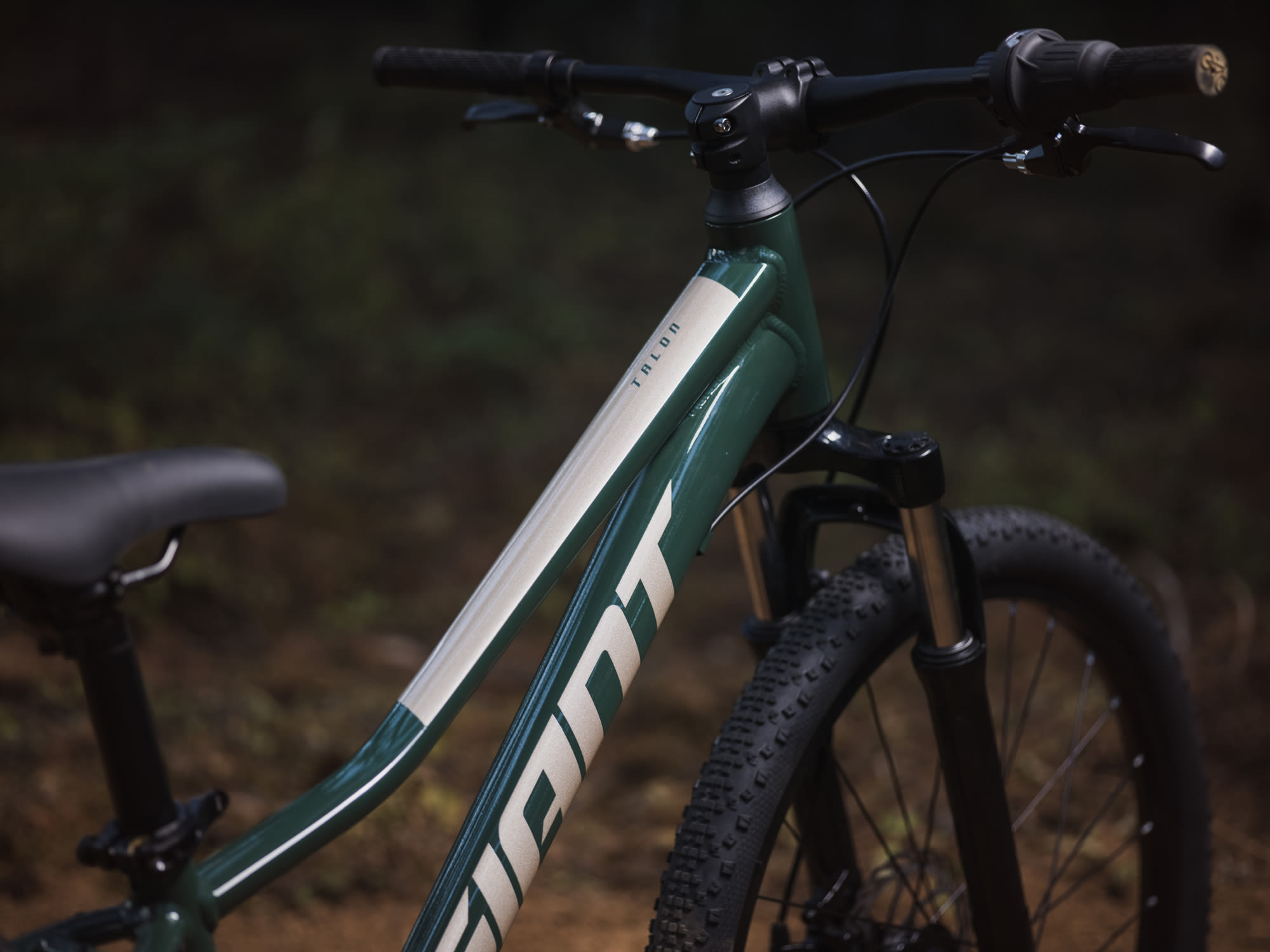 Laste jalgratas GIANT Talon 24, Trekking Green