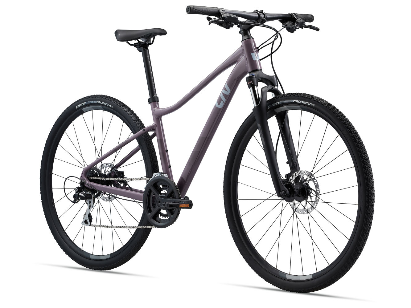 Jalgratas naistele LIV Rove 3 DD Purple Ash (L)