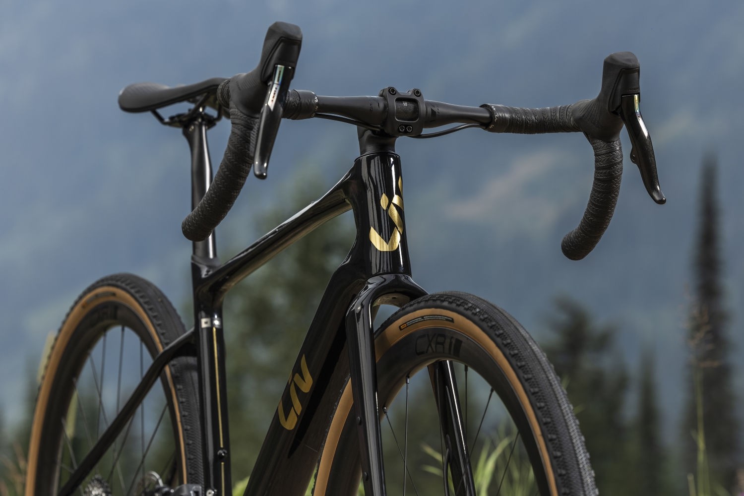 Gravel ratas LIV Devote Advanced Pro, Carbon (L)